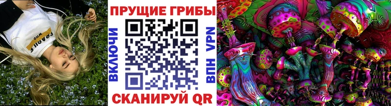 Купить где  Каневская  Псилоцибиновые грибы ЛСД 